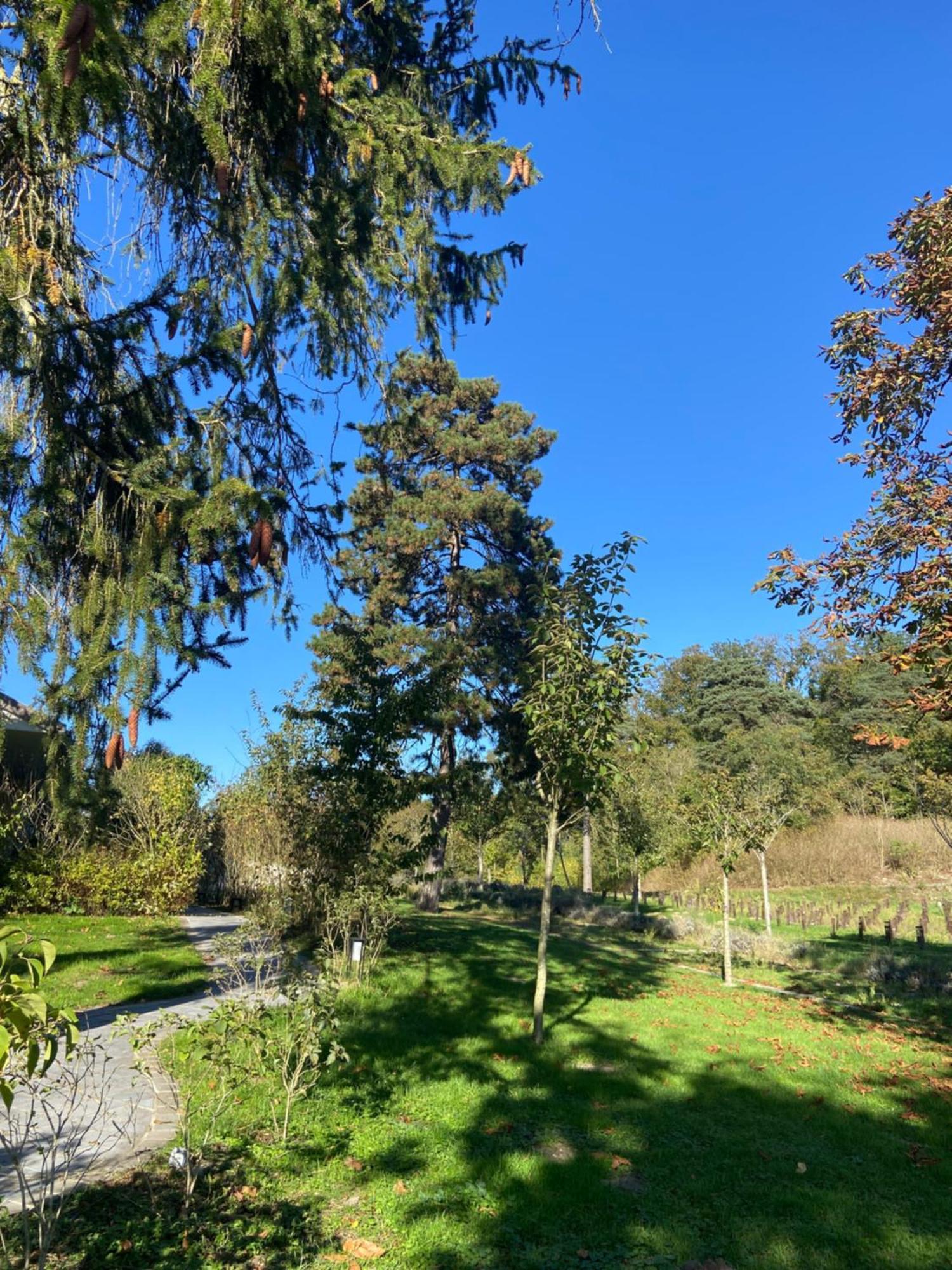 Chateau De Fere Exterior foto